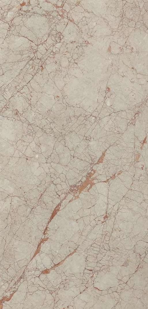 BEIGE STATUARIO