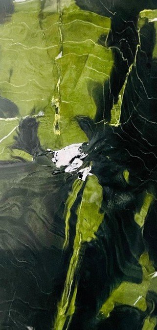 A V O C A D O GREEN