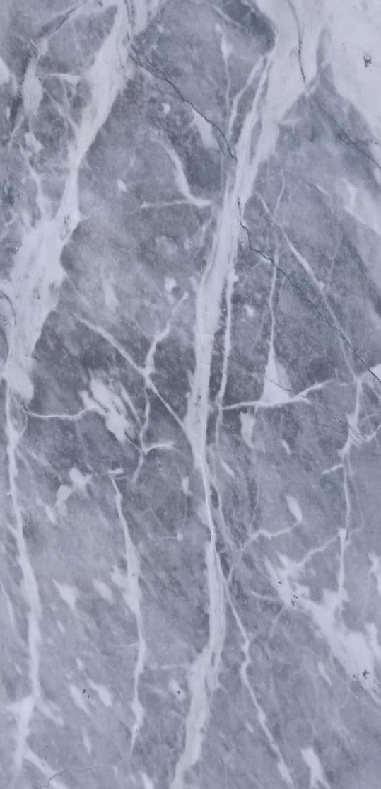 GREY BARDALIO