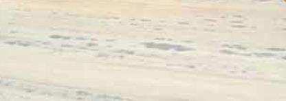 AGARIYA WHITE MARBLE
