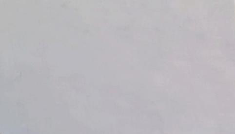 INDIAN SUPER WHITE MARBLE