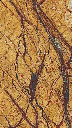 RAINFOREST GOLD